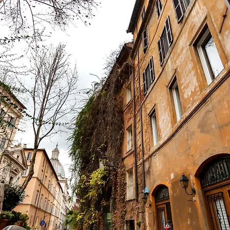 Navona Artist 10 로마